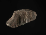 V15d9130 A1.293 M909 gg si.jpg